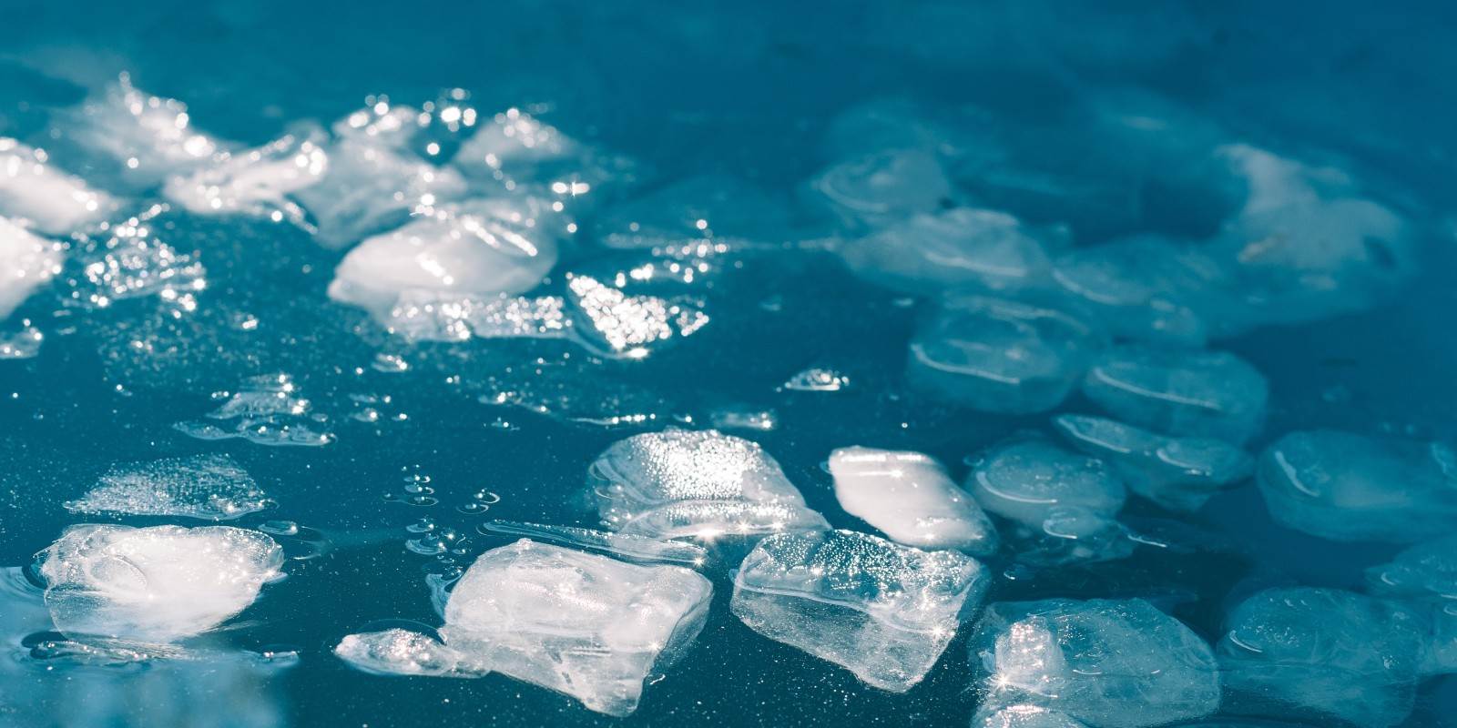 Eiswürfel lösen sich im Wasser auf