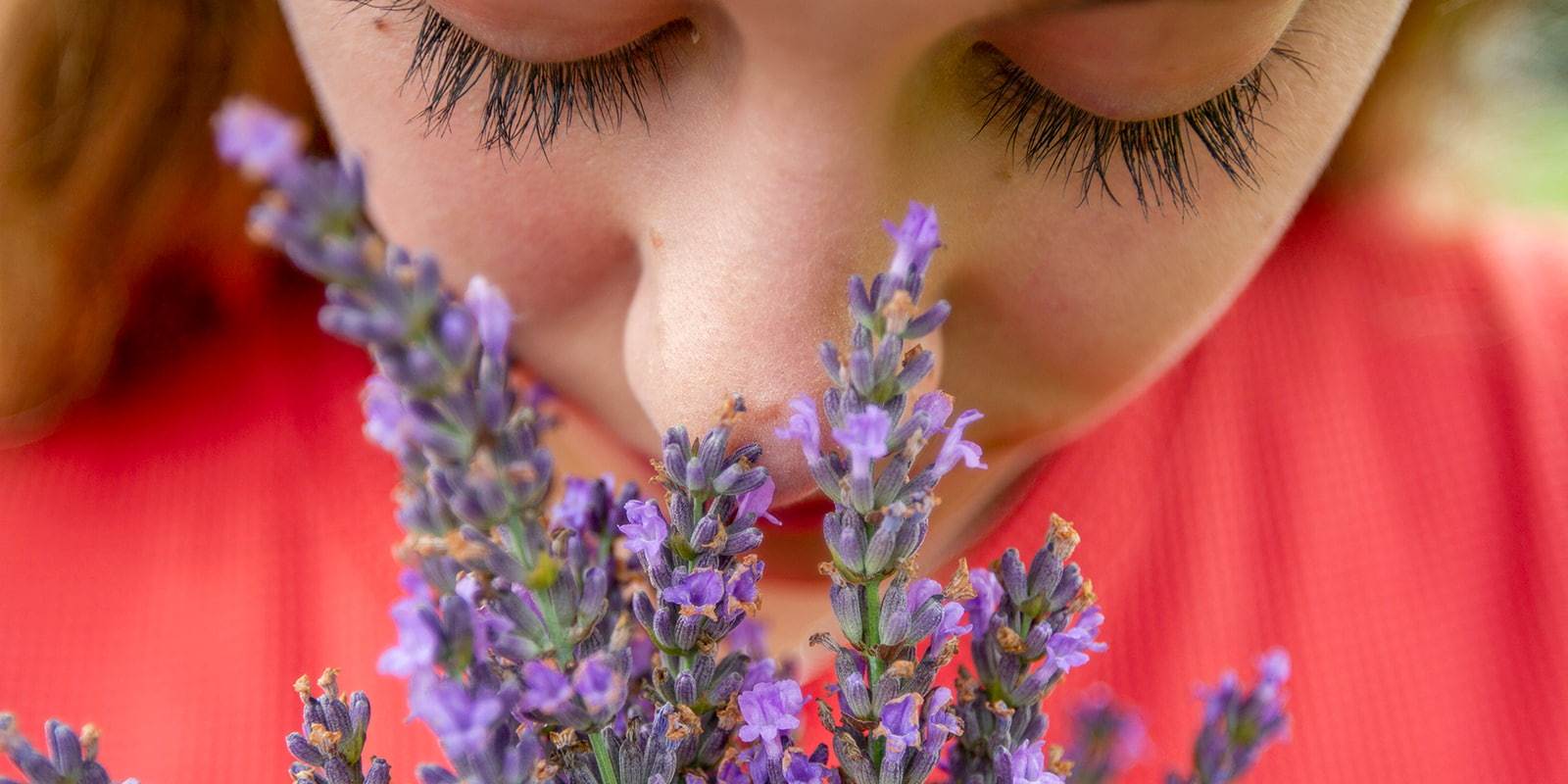 Frau riecht am Lavendel